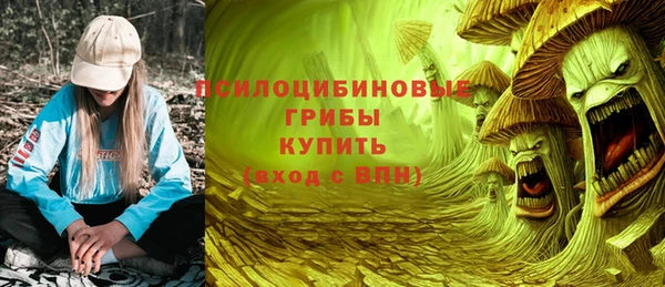 PSILOCYBIN Алексин