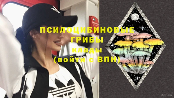 винт Алексеевка