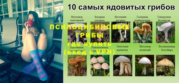 PSILOCYBIN Алексин