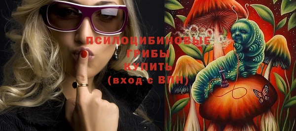PSILOCYBIN Алексин