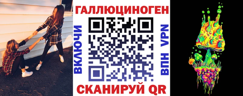OMG tor магазин Приозерск Псилоцибиновые грибы Psilocybine cubensis