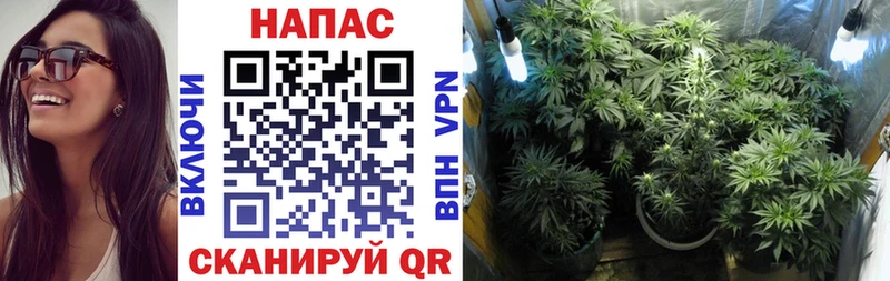 darknet состав  Приозерск  МАРИХУАНА марихуана  цена  